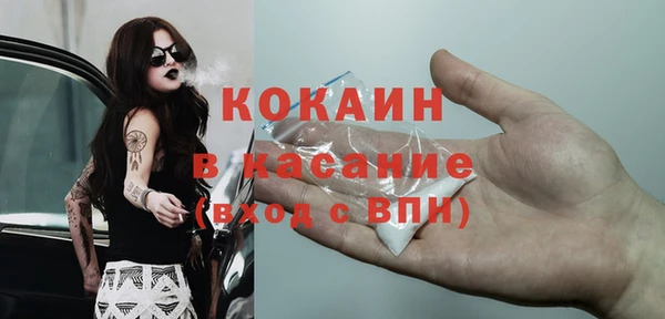 прущие грибы Киреевск