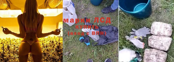 прущие грибы Киреевск