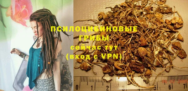 стаф Кинешма