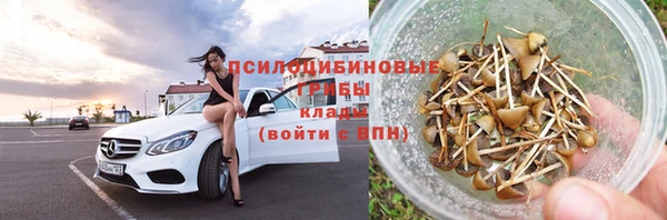прущие грибы Киреевск